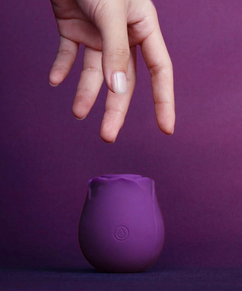 Portable Rose Toy Sucking Vibrator