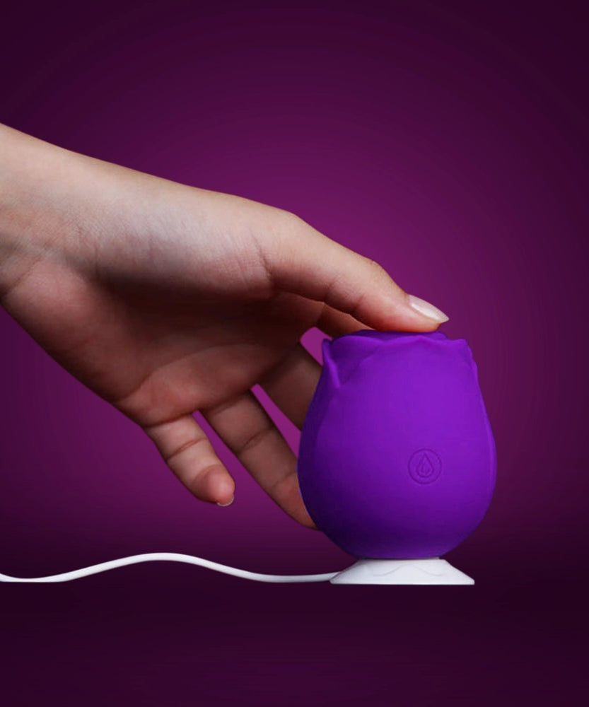 Portable Rose Toy Sucking Vibrator