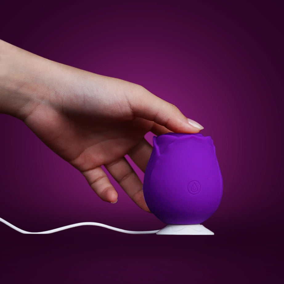 Portable Rose Toy Sucking Vibrator